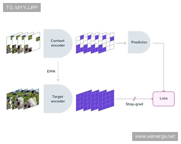 奥利塞职业规划争议:发展路径与定位合理性分析 奥利塞职业规划争议:发展路径与定位合理性分析